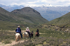 Peru-Arequipa-Colca Canyon Explorer Ride on Peruvian Pasos